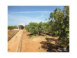 Chalet en venta en Alzira, El Pla de Corbera photo 0