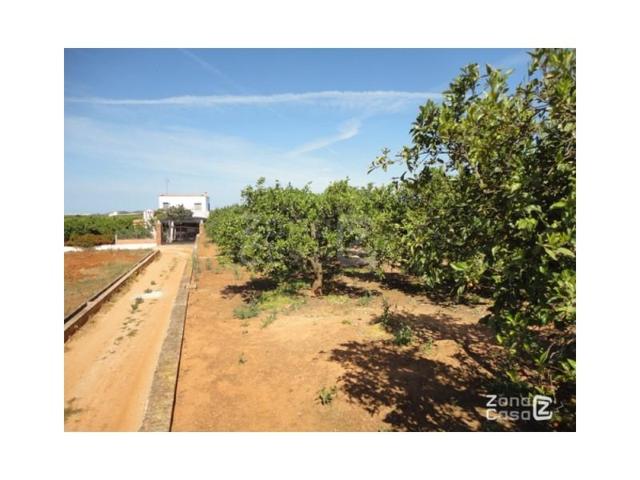 Chalet en venta en Alzira, El Pla de Corbera photo 0