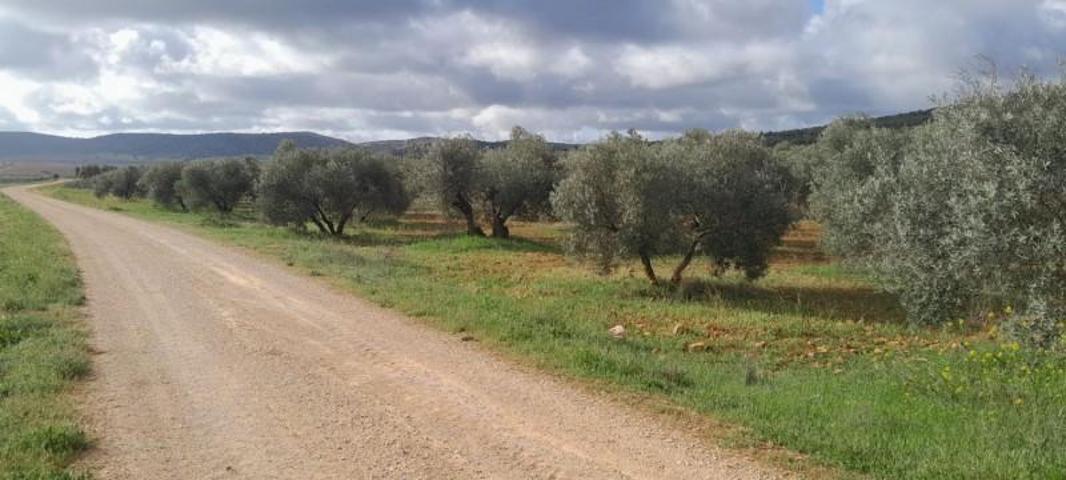 Terreno en venta en Valdepeñas, Carretera Daimiel photo 0