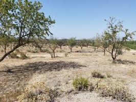 Chalet en venta en Castelldans, Castelldans photo 0