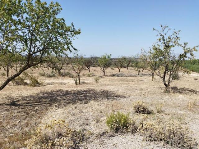 Chalet en venta en Castelldans, Castelldans photo 0