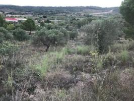 Terreno en venta en Sant Pere de Riudebitlles, Sant Pere De Riudebitlles photo 0