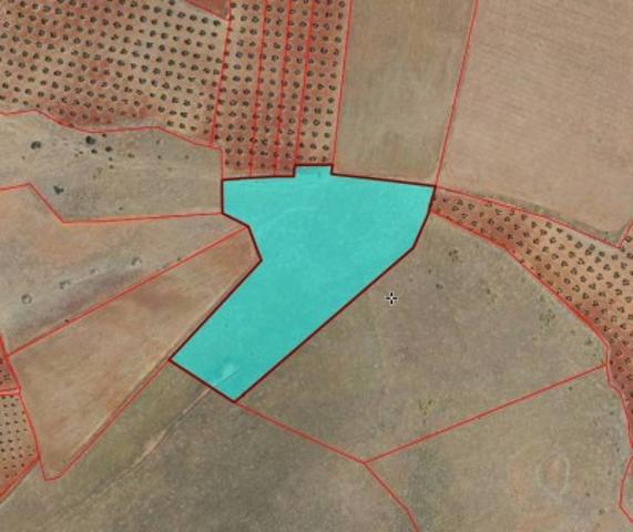 Chalet en venta en Torrenueva, Torrenueva photo 0