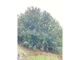 Chalet en venta en Cabrero photo 0