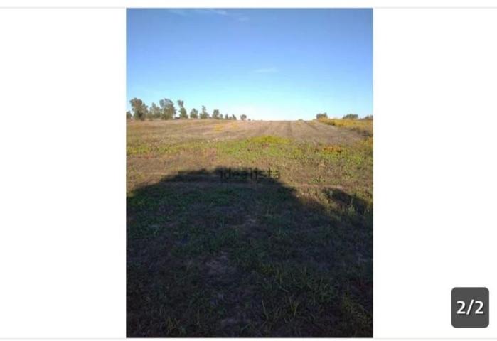 Chalet en venta en Almonte, Almonte photo 0