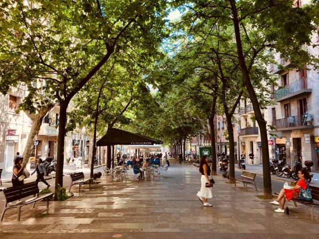 Local comercial en alquiler en Barcelona, Carrer d'Ausiàs Marc, 08010 photo 0