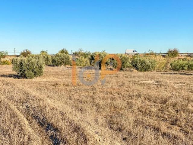 Terreno en venta en Huércal-Overa, La Morena photo 0