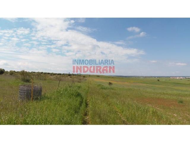 Chalet en venta en Peraleda de la Mata photo 0