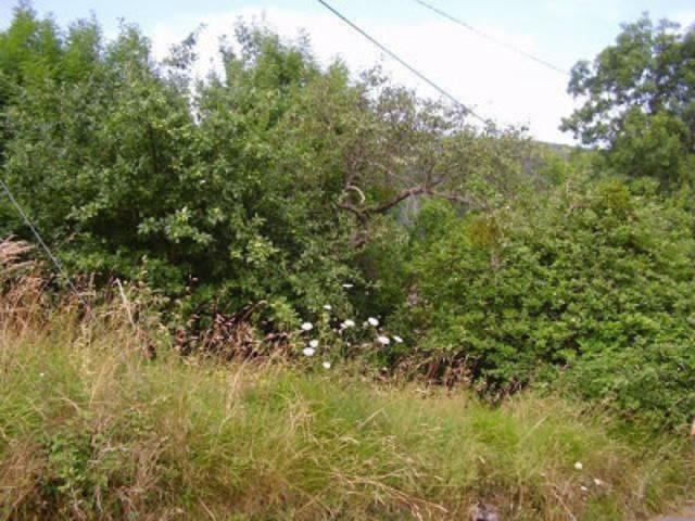 Terreno en venta en Candamo, Candamo photo 0