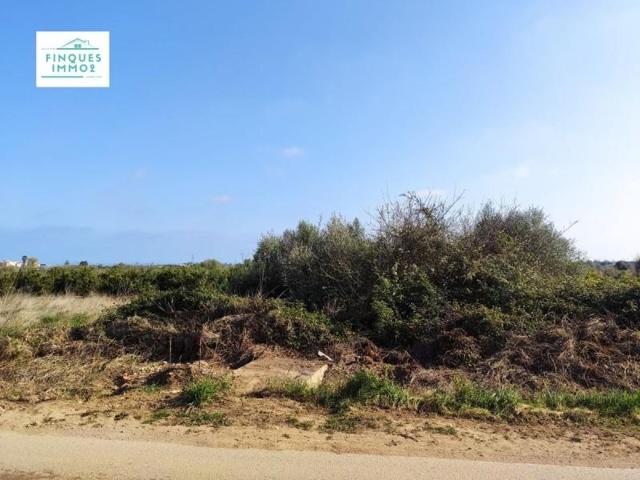 Terreno en venta en Alcanar, Alcanar photo 0