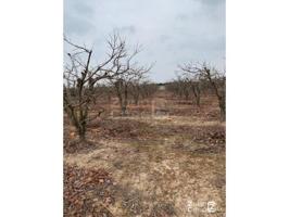 Chalet en venta en Carcaixent, Carcaixent photo 0