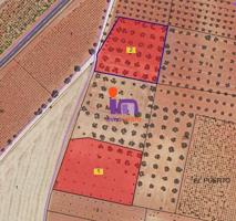 Chalet en venta en San Carlos del Valle, San Carlos Del Valle photo 0