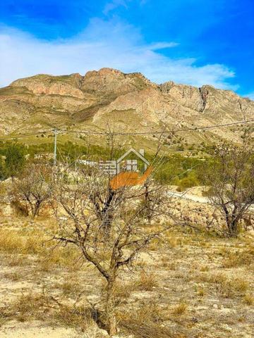 Terreno en venta en Abanilla, Macisvenda photo 0