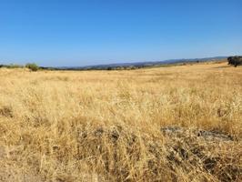 Terreno en venta en Valverde de Llerena, Valverde De Llerena photo 0