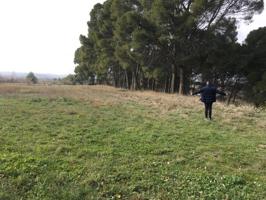 Terreno en venta en Ainzón photo 0