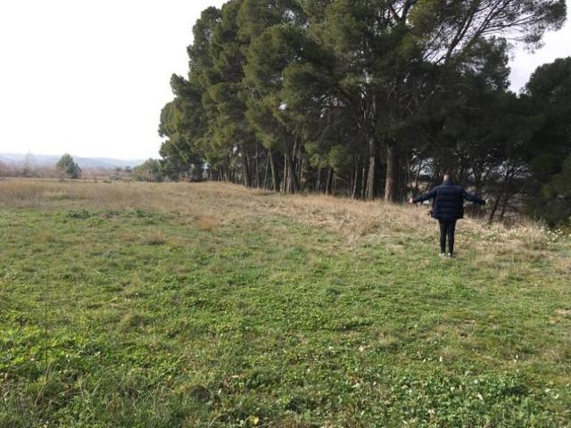 Terreno en venta en Ainzón photo 0