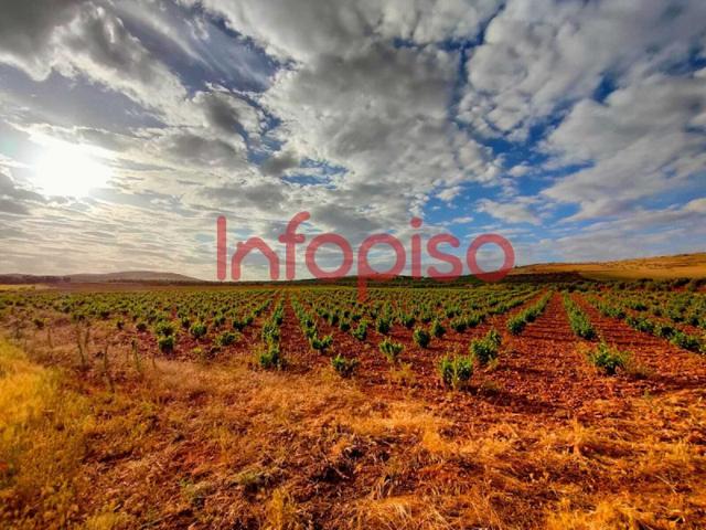 Terreno en venta en Torrenueva, Torrenueva photo 0