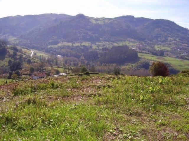 Terreno en venta en Candamo, Candamo photo 0