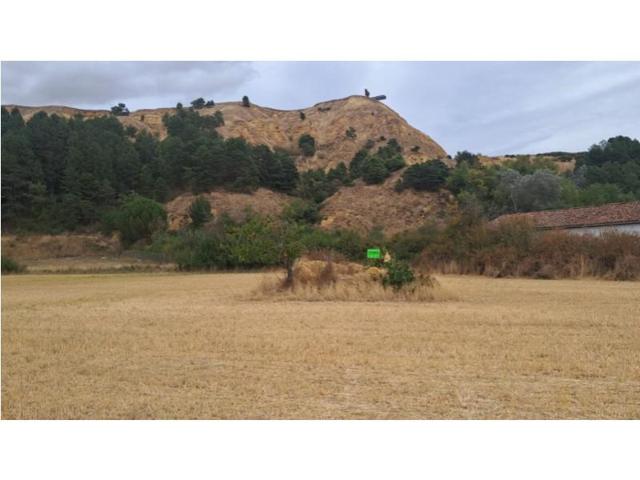 Chalet en venta en Saldaña photo 0