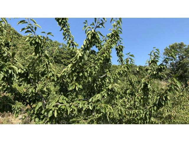 Chalet en venta en Barrado photo 0