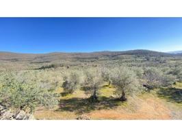 Chalet en venta en Barrado photo 0