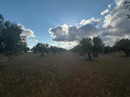 Terreno en venta en Morata de Tajuña photo 0