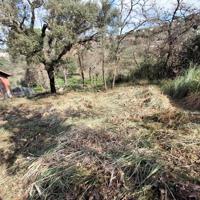 Terreno en venta en Maçanet de la Selva, Macanet De La Selva photo 0
