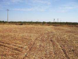 Terreno en venta en Pozuelo de Calatrava, Pozuelo De Calatrava photo 0