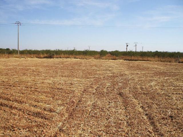 Terreno en venta en Pozuelo de Calatrava, Pozuelo De Calatrava photo 0
