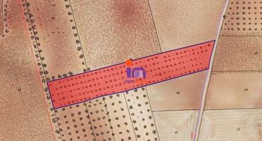 Chalet en venta en San Carlos del Valle, San Carlos Del Valle photo 0