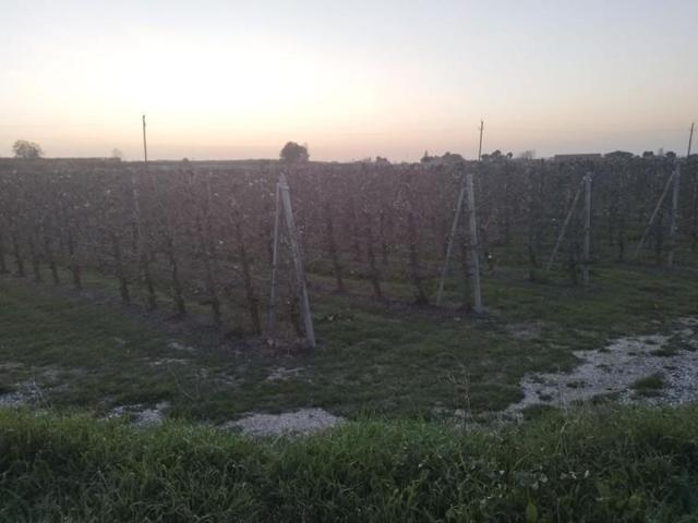 Chalet en venta en Puigverd de Lleida, Puigverd De Lleida photo 0