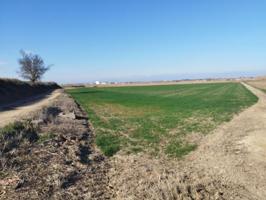 Chalet en venta en Els Alamús, Alamus (Els) photo 0