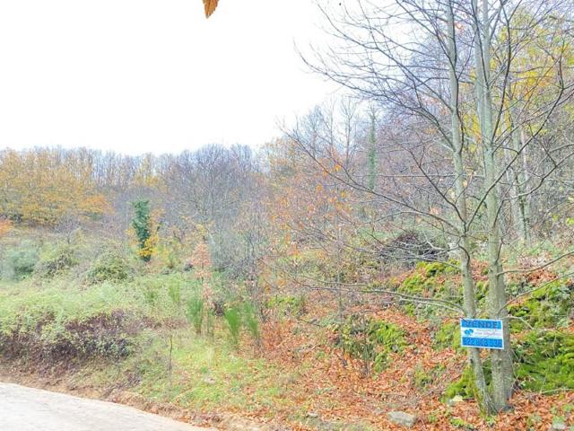 Chalet en venta en Hervás photo 0