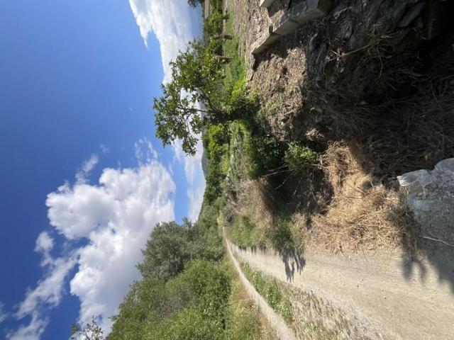 Terreno en venta en Piñar, Restabal photo 0