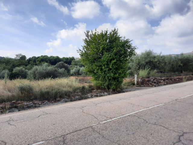 Terreno en venta en Algimia de Alfara, Algimia De Alfara photo 0
