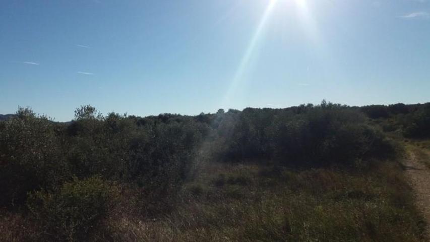 Chalet en venta en Sant Mateu, Sant Mateu photo 0