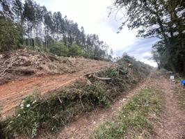 Terreno en venta en Grado, Grado photo 0