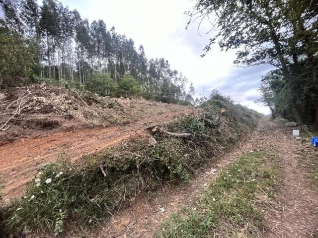 Terreno en venta en Grado, Grado photo 0