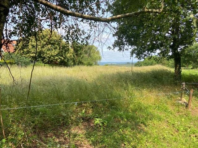 Terreno en venta en Lalín photo 0