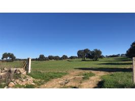 Terreno en venta en Dos Torres photo 0