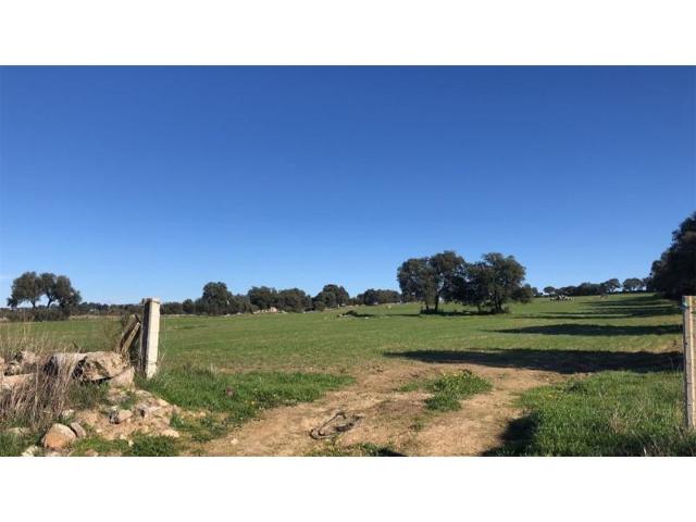 Terreno en venta en Dos Torres photo 0