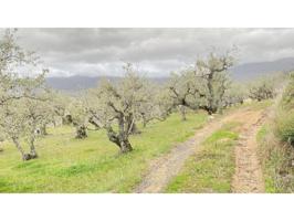 Chalet en venta en Valdastillas photo 0