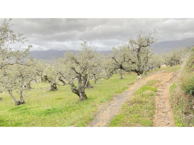 Chalet en venta en Valdastillas photo 0