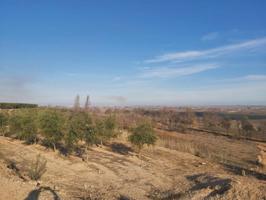 Chalet en venta en Castelldans, Castelldans photo 0