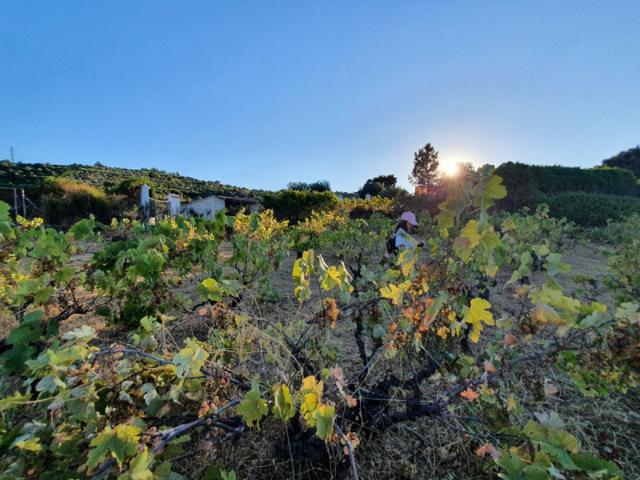 Chalet en venta en Malpartida de Plasencia, Malpartida De Plasencia photo 0