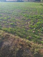 Chalet en venta en Puigverd de Lleida, Puigverd De Lleida photo 0