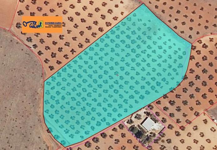 Chalet en venta en Valdepeñas, Carretera Santa Cruz photo 0