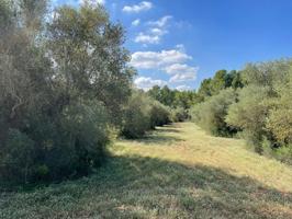 Chalet en venta en Alcover, Alcover photo 0