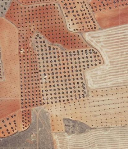 Terreno en venta en Valdepeñas, Aguzadera photo 0