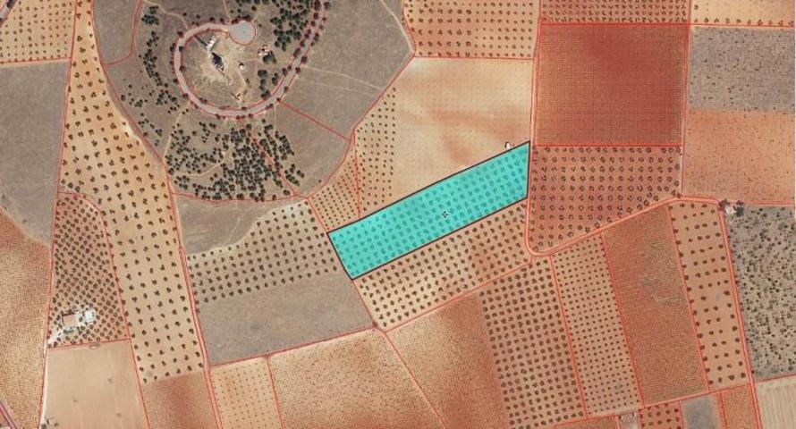 Chalet en venta en Valdepeñas, Aguzadera photo 0